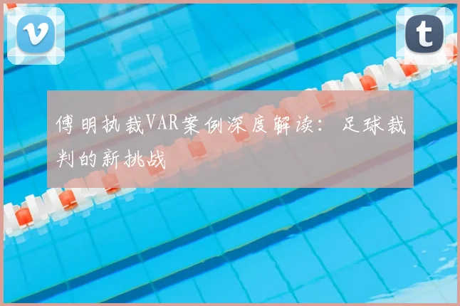 傅明执裁VAR案例深度解读：足球裁判的新挑战