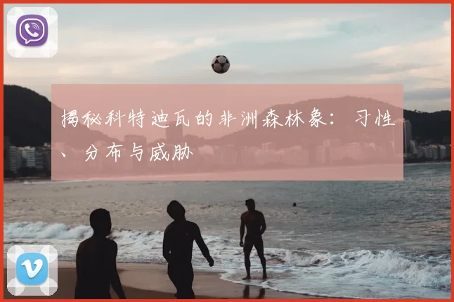揭秘科特迪瓦的非洲森林象：习性、分布与威胁