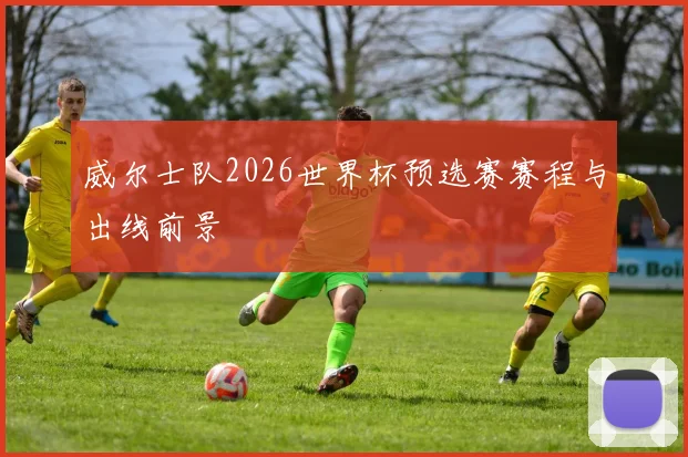 威尔士队2026世界杯预选赛赛程与出线前景
