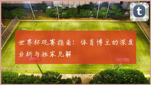世界杯观赛指南：体育博主的深度分析与独家见解
