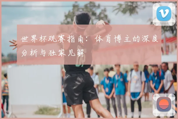 世界杯观赛指南：体育博主的深度分析与独家见解